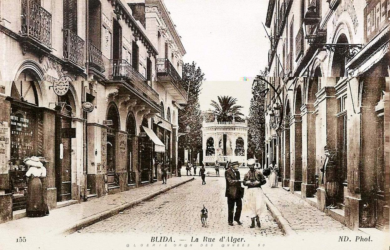 799- Blida - Rue d'Alger.jpg
